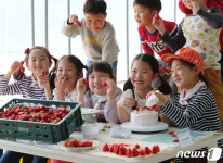 딸기 체험장에서 만드는 딸기케이크