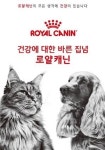 로얄캐닌코리아 반려동물 맞춤영양 필요합니다…캠페인 진행