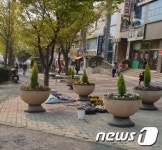 도시 꽃단지 울산 북구, 화봉사거리 초화류 배치