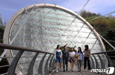 시원한 아쿠아아트 육교를 걸어요