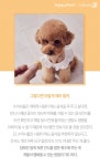 [펫카드] 사료만 먹는 강아지, 불쌍해…걱정은 이제 그만