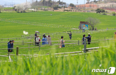 푸른 기운 넘실거리는 고창 학원농장