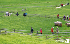 초록의 봄 펼쳐진 고창 학원농장