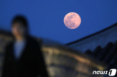 분홍빛으로 빛나는 핑크문