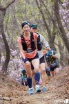 제5회 KOREA 50K 국제 트레일러닝 대회