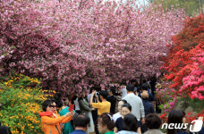 SNS 뜨겁게 달굴 전주 완산공원꽃동산