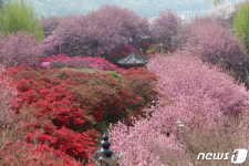 화려한 경관 뽐내는 완산공원꽃동산