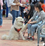 주인님 사랑해요
