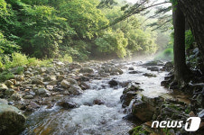 산란하는 열목어도 보고 산길도 걷고…봉화 백천계곡 봄축제