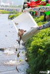 자연보호중앙연맹 대구시협의회 대명천 미꾸라지 방류