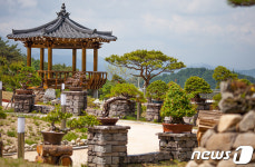양구군, DMZ야생화분재원 야외전시 돌입