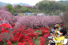 전주 완산공원 꽃동산 도심 속 꽃구경 명소로 각광