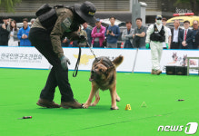 멍멍! 찾았습니다