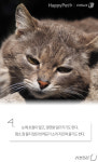 [펫카드] 반려묘가 이런 행동 하면 이별준비 하세요