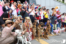 즐거운 반려동물 축제 투개더