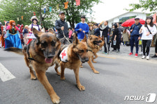 휴일 도심에서 열린 펫퍼레이드