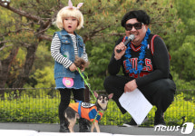 [화보] 멍멍~ 나 어때요?… 대구 반려동물 축제 투개더