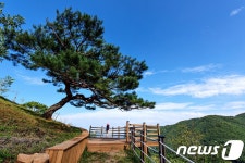 산림복지진흥원, 5월 가정의 달 특별프로그램 다양 