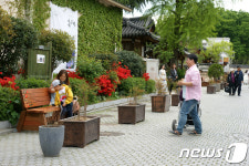전주한옥마을에 청년목수가 만든 아트벤치 눈길