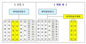 마약안전기획관 신설…프로포폴 등 의료용 마약류 관리 강화