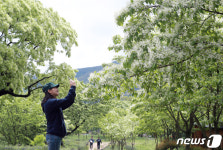 Naver 搜尋結果照片 3