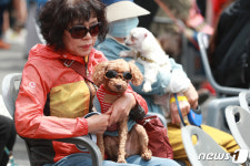 반려인 축제 러브댕댕페스타 태화강서 4일 개최