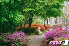 봄꽃 인생샷은 여기서 서울시 3색 도보관광코스 소개