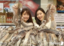 롯데마트 신선한 대서양산 오징어가 왔어요