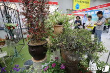 화사한 정원 꾸며줄 조경자재들