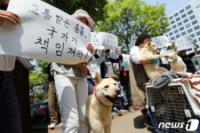 고통받는 동물, 국가가 책임져라