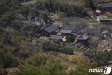 Ảnh kết quả tìm kiếm Naver 3