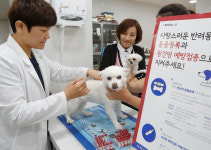 취약가구 반려동물 서울시, 1천마리 동물등록·중성화 지원