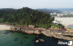 Naver 搜索结果照片 1