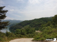 옥정호 운정리~금기리 간선임도 개통…주민불편 해소