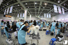 전국 애견미용사 자격검정 및 콘테스트