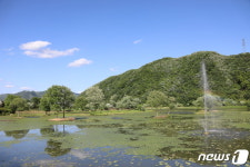 진안군 용담호 자연생태 습지원에서 힐링하세요