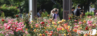 아름다운 장미공원