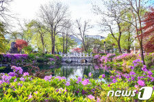 화창한 황지연못의 아침