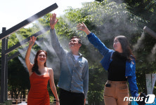 대구, 폭염이 시작됐다