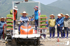 이앙지 운전해 모내기하는 문재인 대통령
