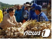 김승남 위원장, 고흥지역 마늘 수매현장 찾아 애로 청취