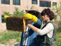 남산공원에서 어린이부터 어른까지 도시양봉 배워볼까