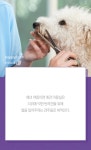[펫카드] 반려견 털 짧게 깎는 빠박이 미용 위험해요