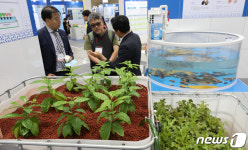 수산양식과 수경재배를 한번에