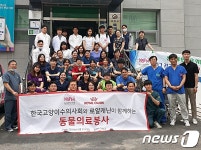 길고양이와 함께 살아요…수의사회, 군집 TNRM 동물의료봉사