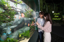 롯데월드 아쿠아리움, 주요 전시공간 새단장…자연을 함께 느껴요
