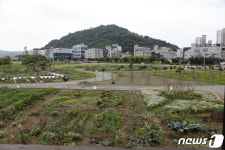 전남도 동부권통합청사 들어설 신대지구 학교용지는 어떤 곳?