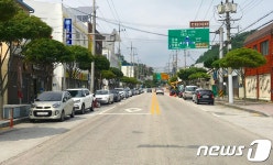 정읍시, 관통로를 우산형 단풍나무 거리로 특화…124그루 식재