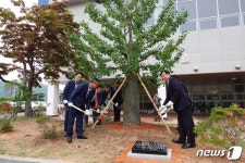장성 백암중, 동문 후원으로 은행나무 교목 생겼다