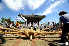 당진 기지시줄다리기 임진각서 평화 기원 행사 